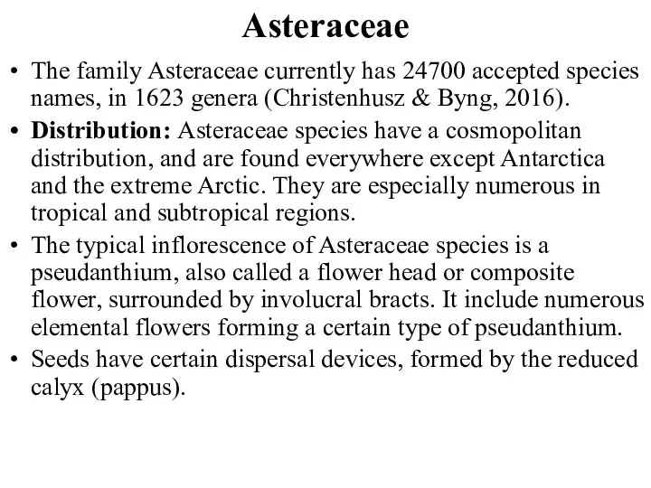 Asteraceae The family Asteraceae currently has 24700 accepted species names, in 1623