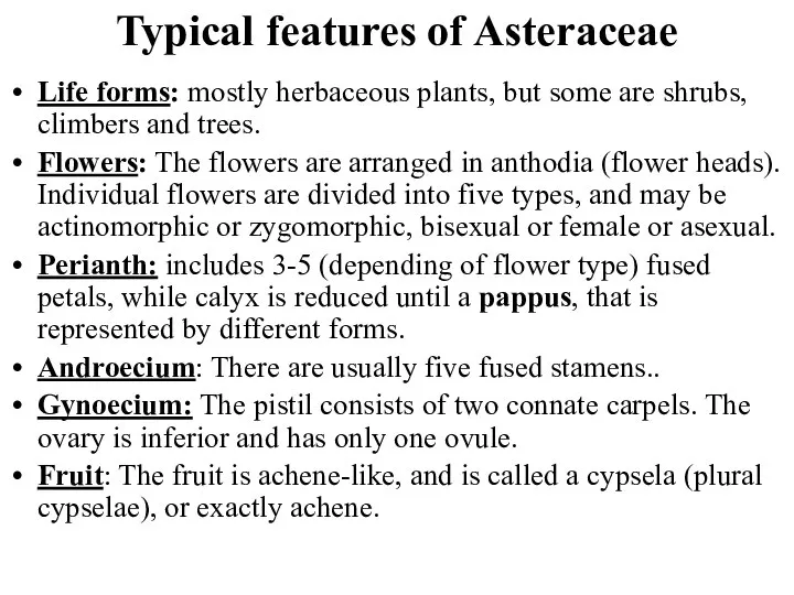 Typical features of Asteraceae Life forms: mostly herbaceous plants, but some are