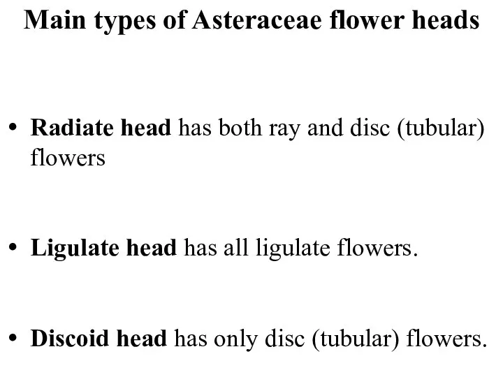 Main types of Asteraceae flower heads Radiate head has both ray and