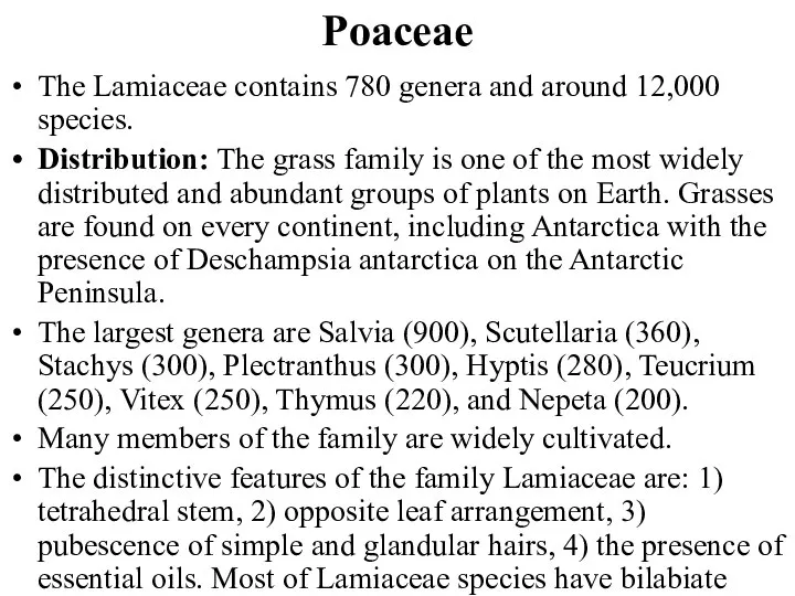 Poaceae The Lamiaceae contains 780 genera and around 12,000 species. Distribution: The