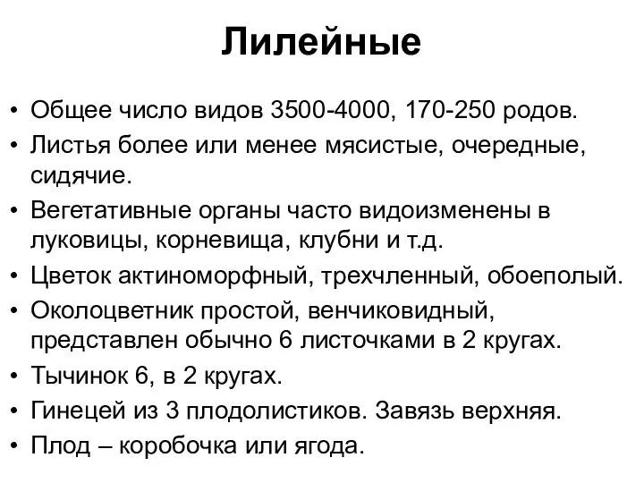 Лилейные Общее число видов 3500-4000, 170-250 родов. Листья более или менее мясистые,