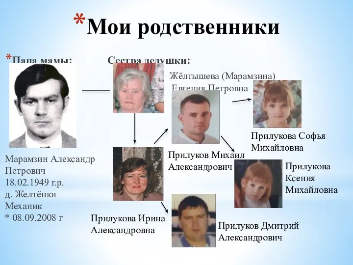 Мои родственники Папа мамы: Сестра дедушки: Жёлтышева (Марамзина) Евгения Петровна Марамзин Александр