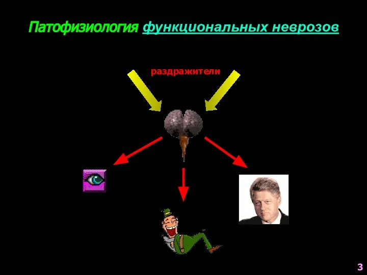 Патофизиология функциональных неврозов раздражители 3