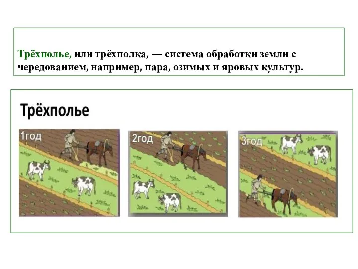 Трёхполье, или трёхполка, — система обработки земли с чередованием, например, пара, озимых и яровых культур.