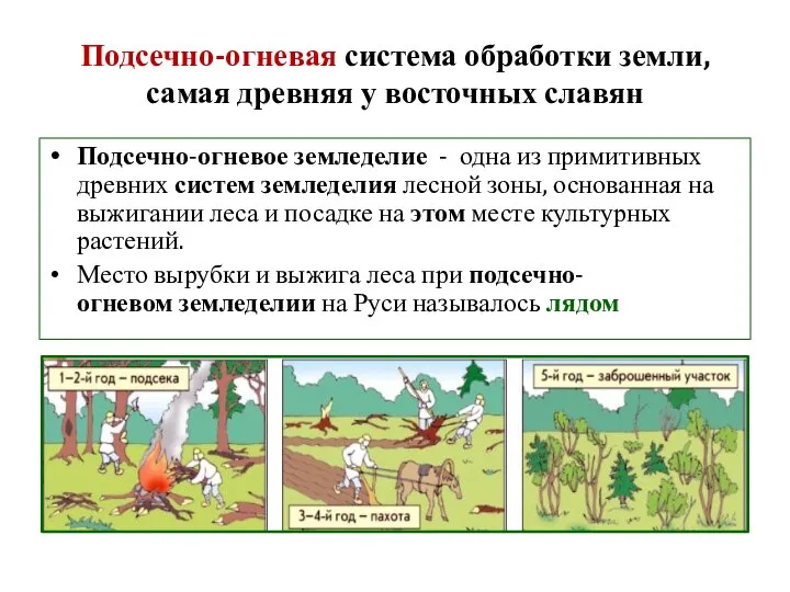 Подсечно-огневая система обработки земли,самая древняя у восточных славян Подсечно-огневое земледелие - одна