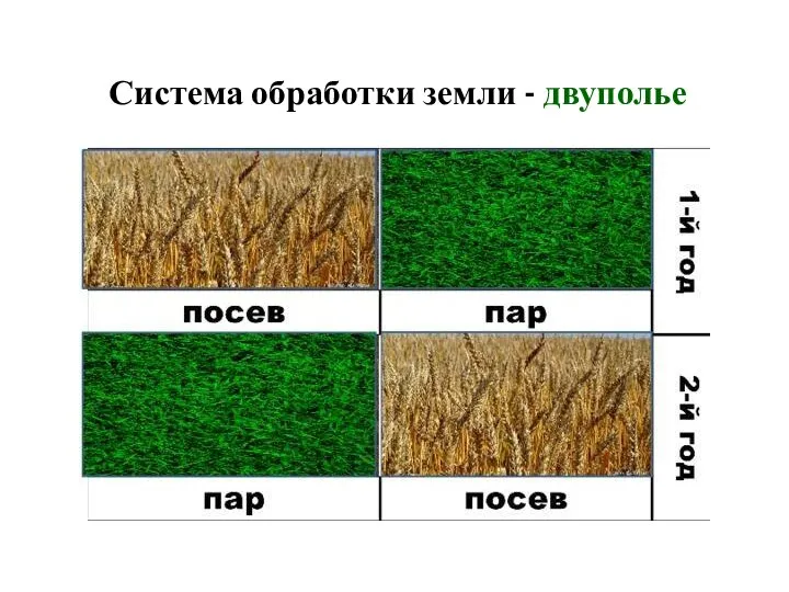 Система обработки земли - двуполье