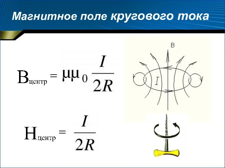 Магнитное поле кругового тока