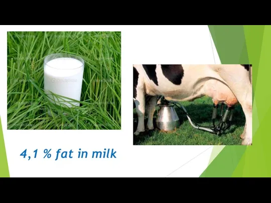 4,1 % fat in milk