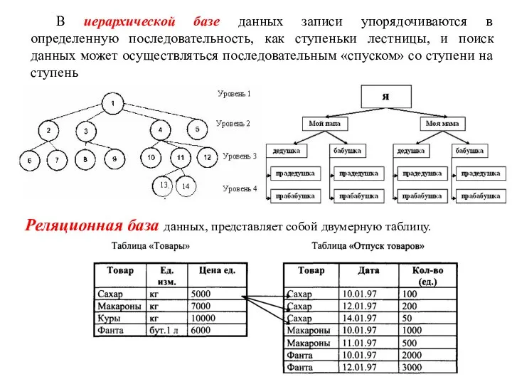 В иерархической базе данных записи упорядочиваются в определенную последовательность, как ступеньки лестницы,