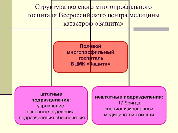 Структура полевого многопрофильного госпиталя Всероссийского центра медицины катастроф «Защита»