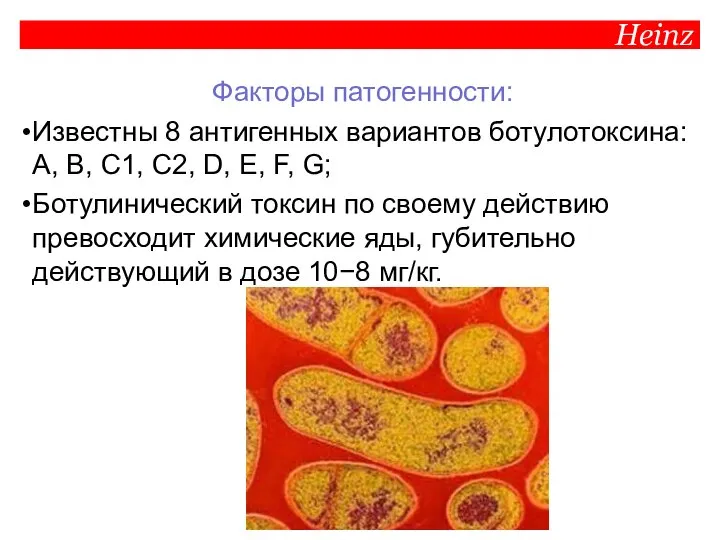 Heinz Факторы патогенности: Известны 8 антигенных вариантов ботулотоксина: А, В, C1, C2,