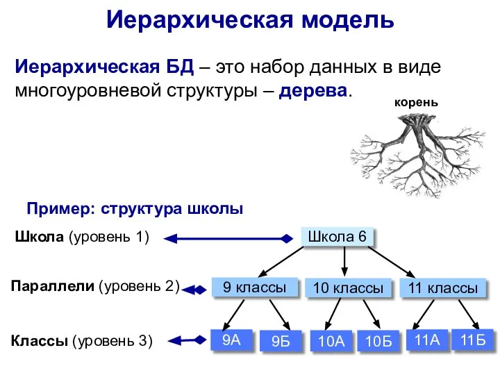 Иерархическая модель Иерархическая БД – это набор данных в виде многоуровневой структуры