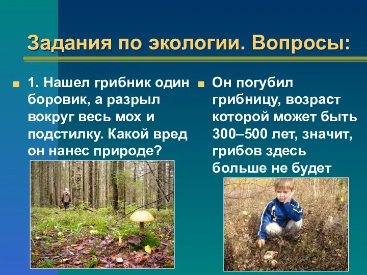 Задания по экологии. Вопросы: 1. Нашел грибник один боровик, а разрыл вокруг