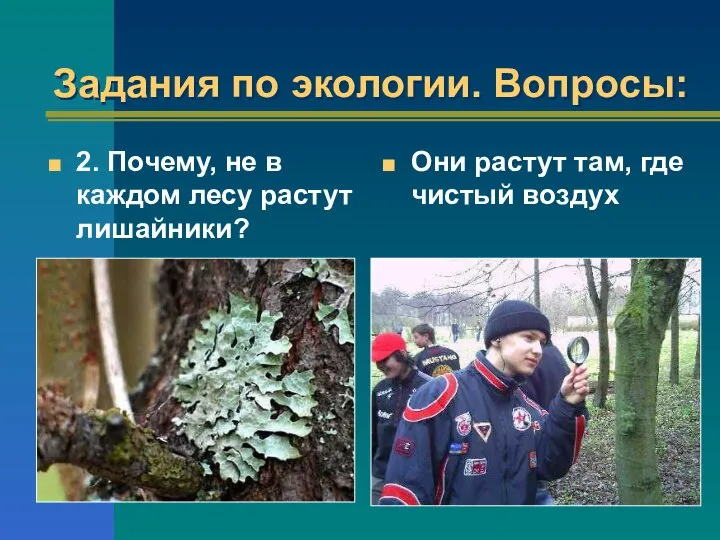 Задания по экологии. Вопросы: 2. Почему, не в каждом лесу растут лишайники?