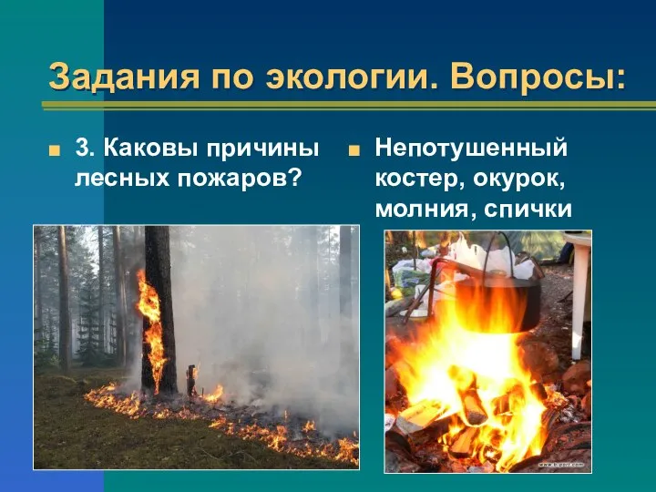 Задания по экологии. Вопросы: 3. Каковы причины лесных пожаров? Непотушенный костер, окурок, молния, спички