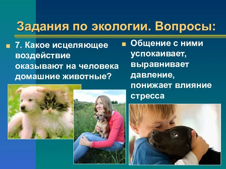 Задания по экологии. Вопросы: 7. Какое исцеляющее воздействие оказывают на человека домашние