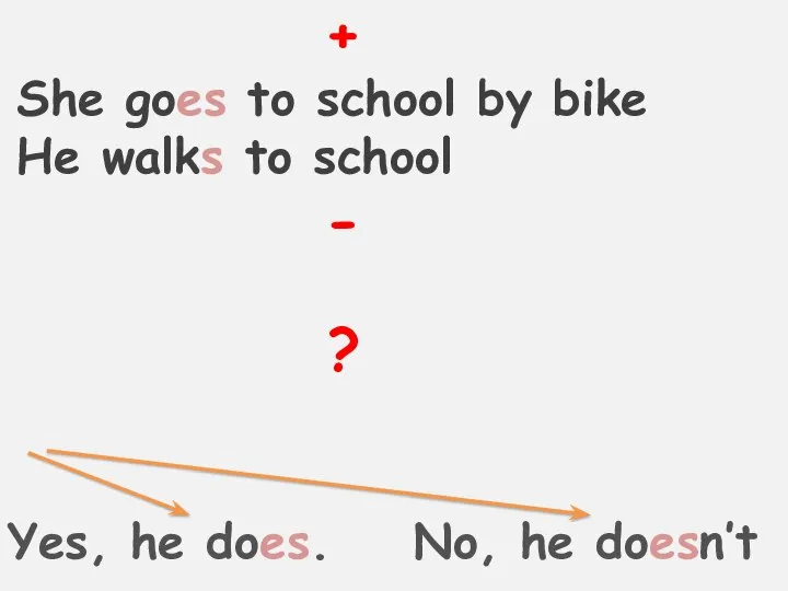 + She goes to school by bike He walks to school - ?