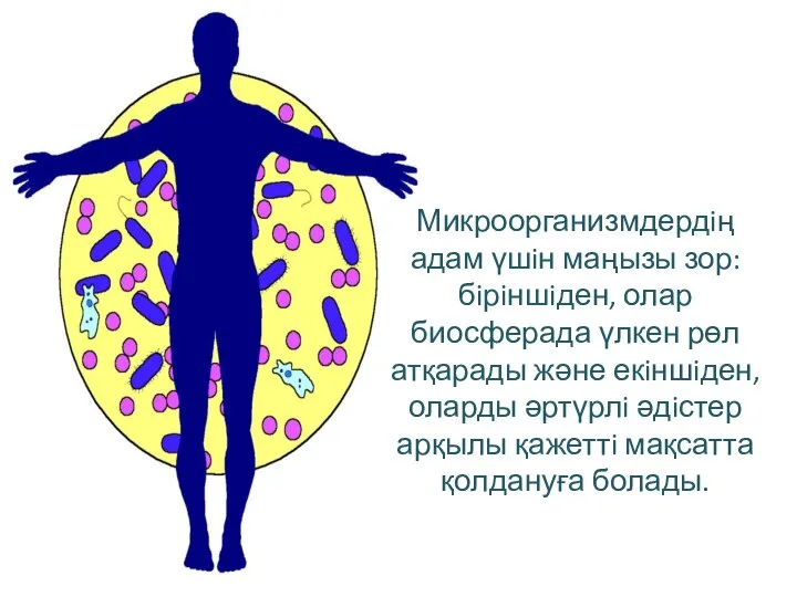 Микроорганизмдердiң адам үшiн маңызы зор: бiрiншiден, олар биосферада үлкен рөл атқарады және