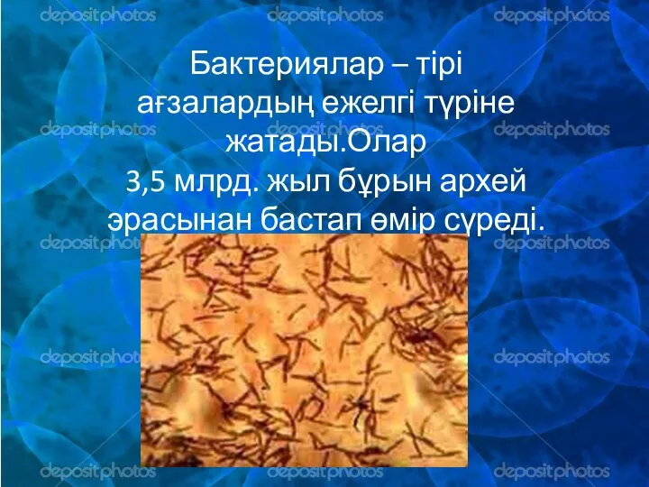 Бактериялар – тірі ағзалардың ежелгі түріне жатады.Олар 3,5 млрд. жыл бұрын архей эрасынан бастап өмір сүреді.