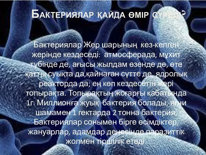 Бактериялар қайда өмір сүреді? Бактериялар Жер шарының кез-келген жерінде кездеседі: атмосферада, мұхит