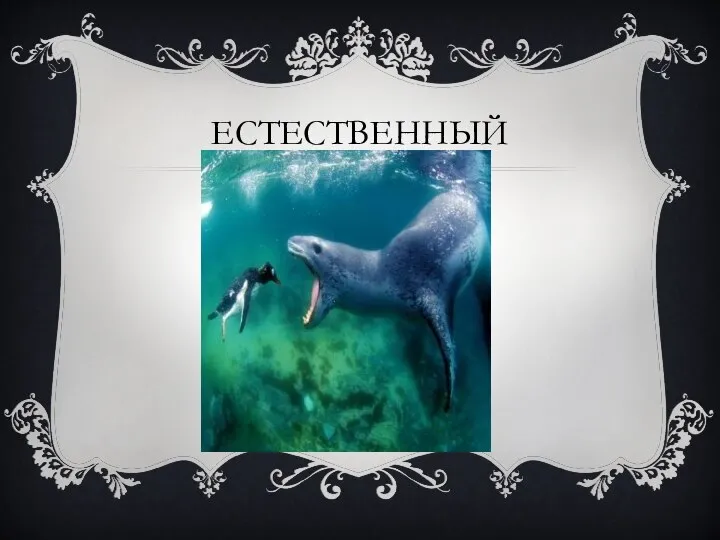 ЕСТЕСТВЕННЫЙ