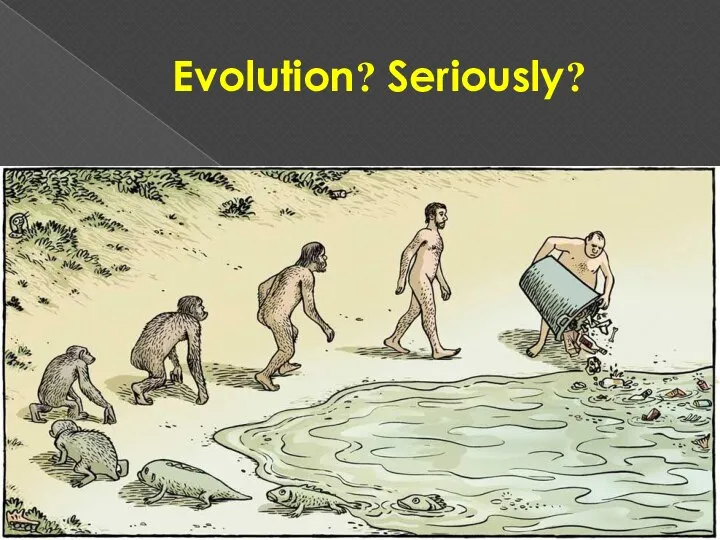 Evolution? Seriously?
