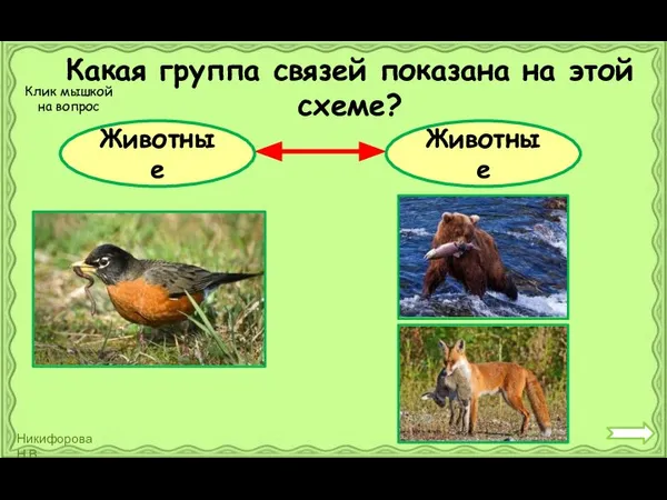 Какая группа связей показана на этой схеме? Животные Животные Клик мышкой на вопрос