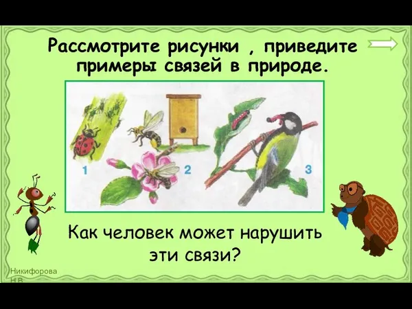 Рассмотрите рисунки , приведите примеры связей в природе. Как человек может нарушить эти связи?