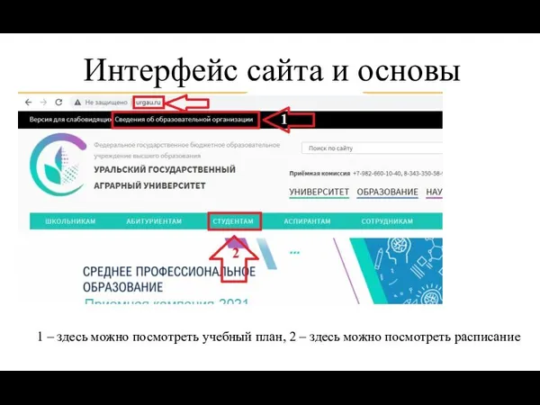 Интерфейс сайта и основы 1 – здесь можно посмотреть учебный план, 2