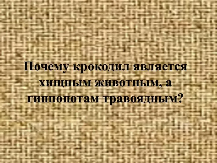 Почему крокодил является хищным животным, а гиппопотам травоядным?