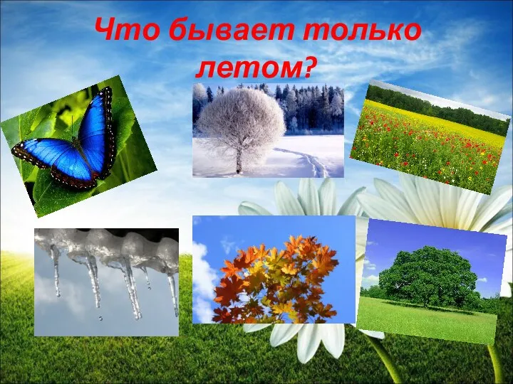 Что бывает только летом?