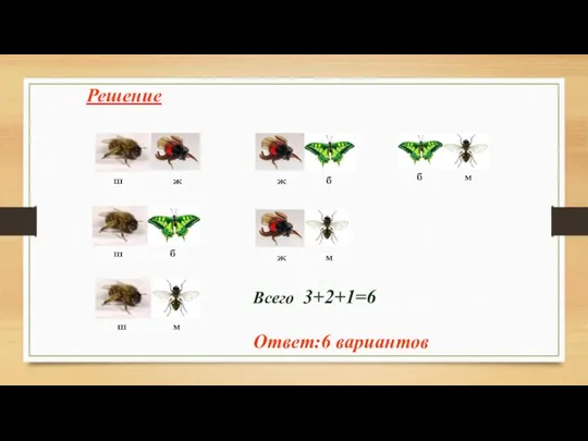 Решение Всего 3+2+1=6 Ответ:6 вариантов ш ш ш ж ж б б