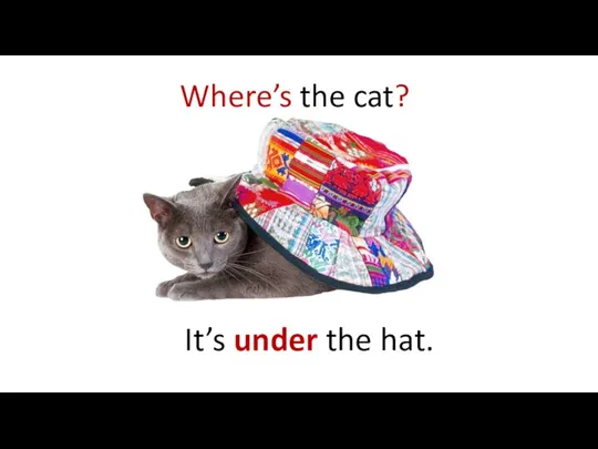 Where’s the cat? It’s under the hat.