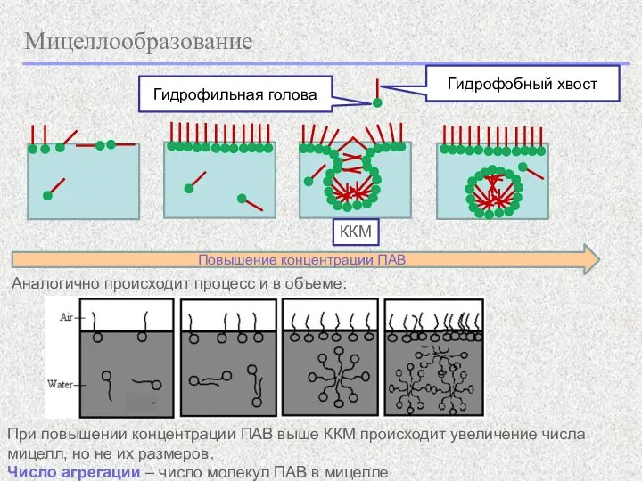 Мицеллообразование Гидрофобный хвост Гидрофильная голова Повышение концентрации ПАВ ККМ Аналогично происходит процесс