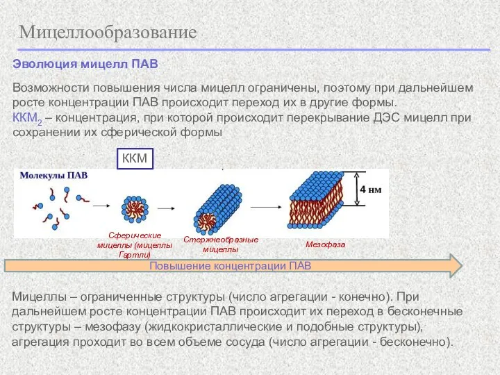 Мицеллообразование Эволюция мицелл ПАВ Повышение концентрации ПАВ ККМ Сферические мицеллы (мицеллы Гартли)