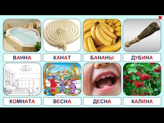 ВАННА КАНАТ БАНАНЫ ДУБИНА КОМНАТА ВЕСНА ДЕСНА КАЛИНА