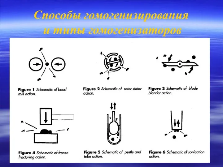 Способы гомогенизирования и типы гомогенизаторов