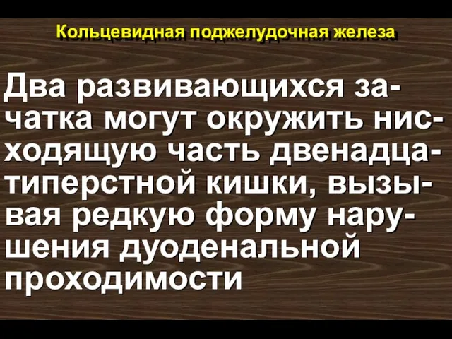 Кольцевидная поджелудочная железа Два развивающихся за-чатка могут окружить нис-ходящую часть двенадца-типерстной кишки,