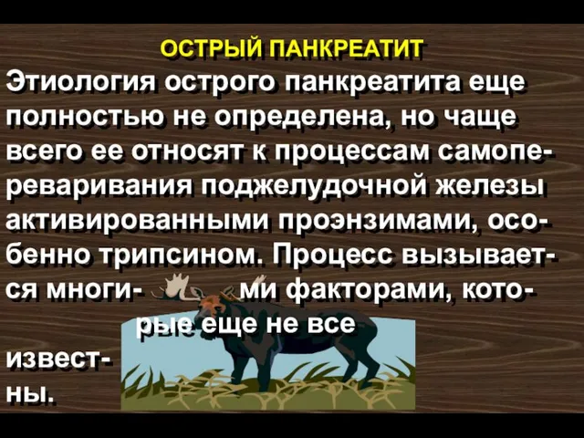 ОСТРЫЙ ПАНКРЕАТИТ Этиология острого панкреатита еще полностью не определена, но чаще всего