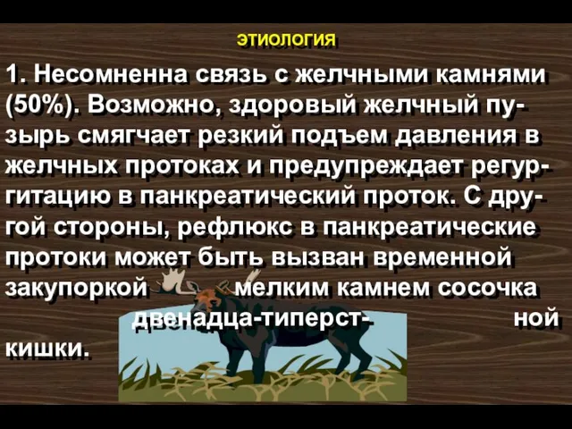 этиология 1. Несомненна связь с желчными камнями (50%). Возможно, здоровый желчный пу-зырь