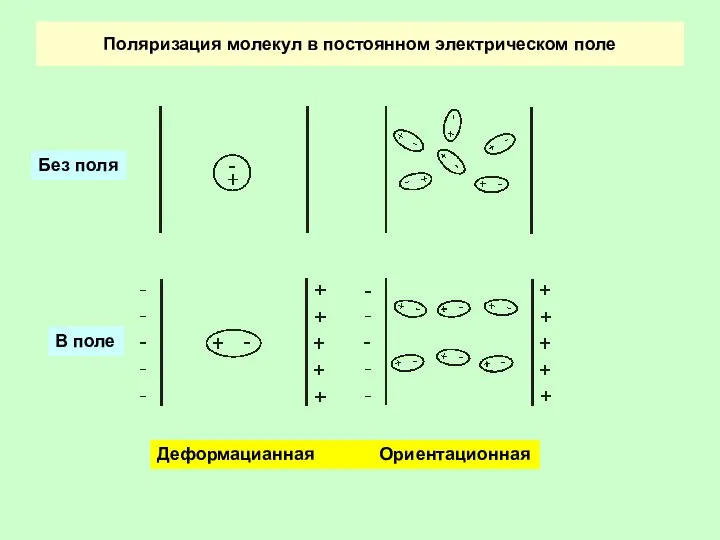 Поляризация молекул в постоянном электрическом поле Деформацианная Ориентационная Без поля В поле