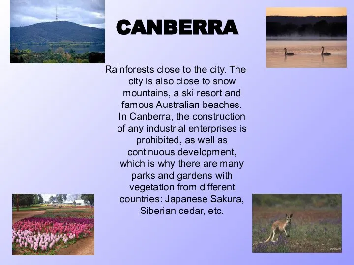 CANBERRA Rainforests close to the city. The city is also close to