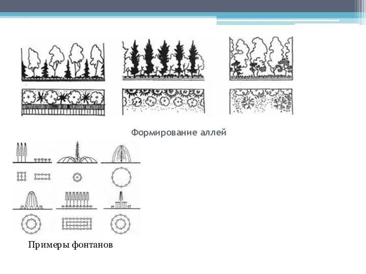 Формирование аллей Примеры фонтанов