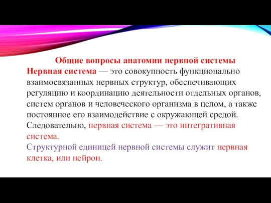 Общие вопросы анатомии нервной системы Нервная система — это совокупность функционально взаимосвязанных