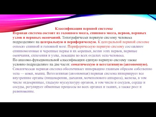 Классификация нервной системы Нервная система состоит из головного мозга, спинного мозга, нервов,