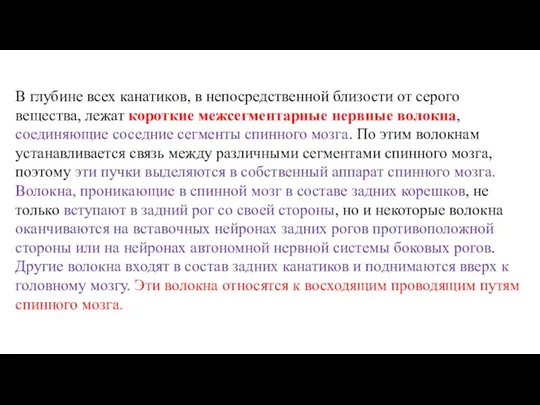 В глубине всех канатиков, в непосредственной близости от серого вещества, лежат короткие