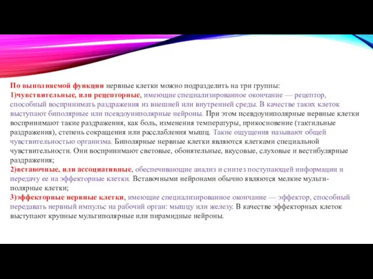 По выполняемой функции нервные клетки можно подразделить на три группы: 1)чувствительные, или