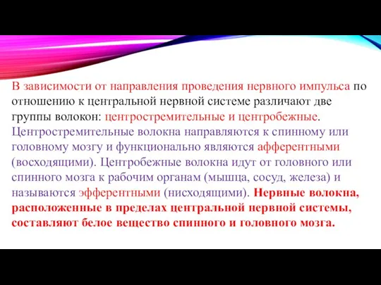 В зависимости от направления проведения нервного импульса по отношению к центральной нервной