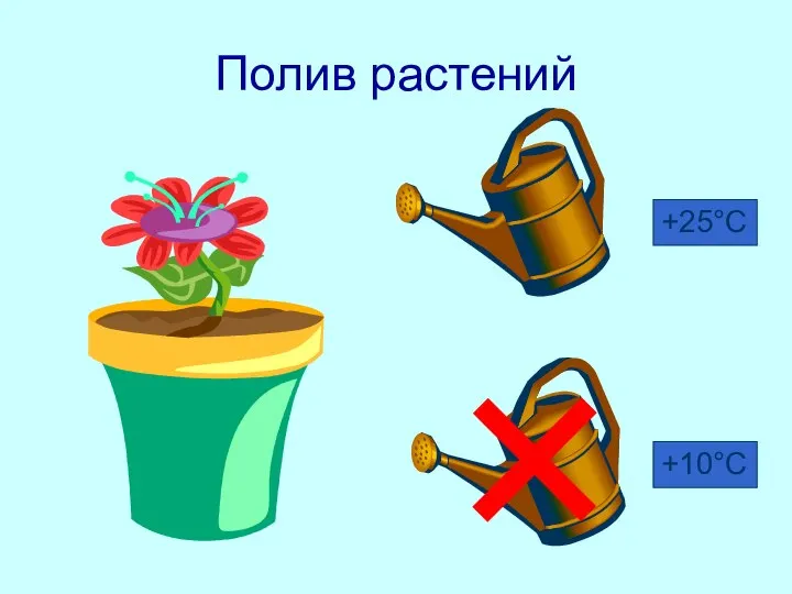 Полив растений +25°С +10°С