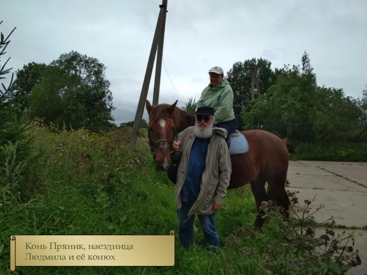 Конь Пряник, наездница Людмила и её конюх